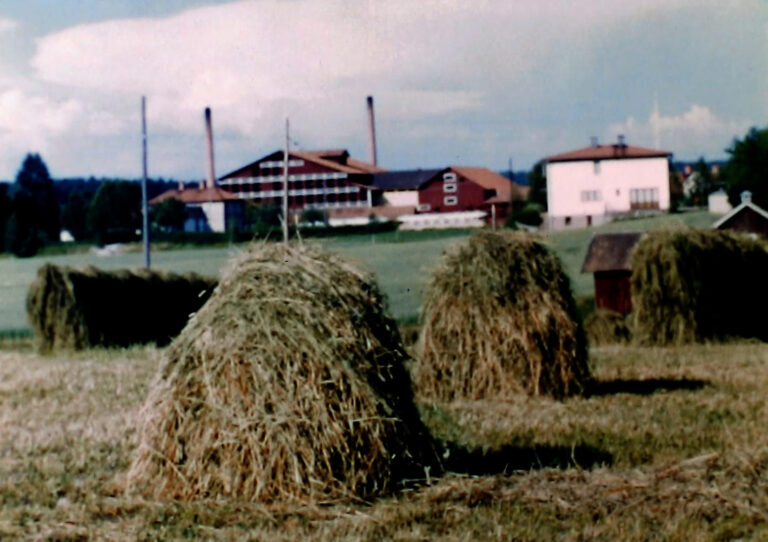 Ringarums tegelbruk bonusfilm 1